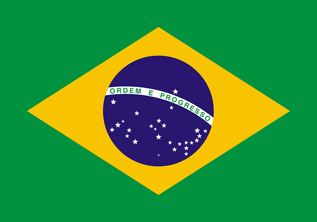 Travel Business Assistance | Brazil | Brazil Flag