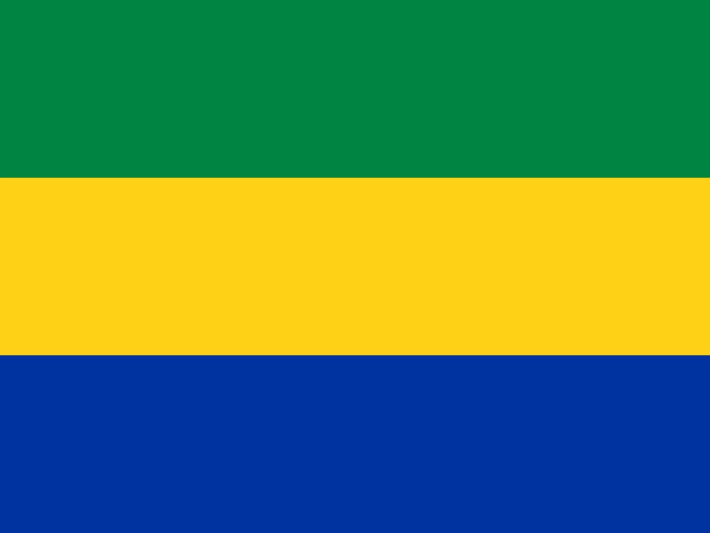 Travel Business Assistance | Gabon | Gabon Flag