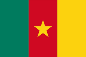 Travel Business Assistance | Cameroon | Cameroon Flag