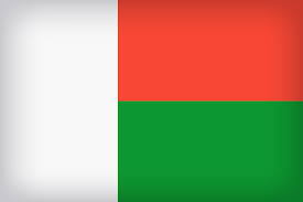 Travel Business Assistance | Madagascar | Madagascar Flag