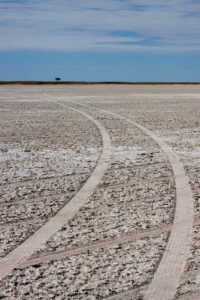 Travel Business Assistance | Botswana | Tire Tracks on the Salt Pan