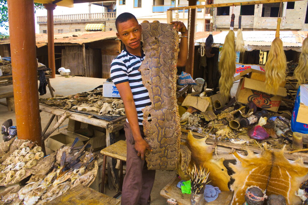 Travel Business Assistance | Togo | Fetish Market