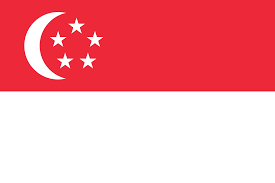 Travel Business Assistance | Singapore | Singapore Flag