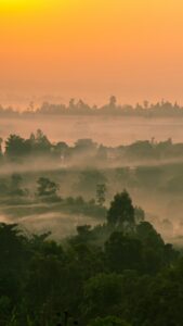 Travel Business Assistance | Cameroon | Fog in the valley