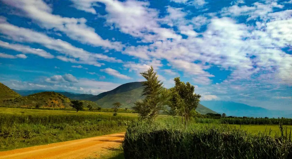 Travel Business Assistance | Uganda | Grassland and Mountains