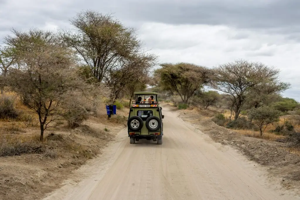 Travel Business Assistance | Tanzania | Safari