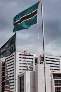 Travel Business Assistance | Botswana | Flag and City Buildings