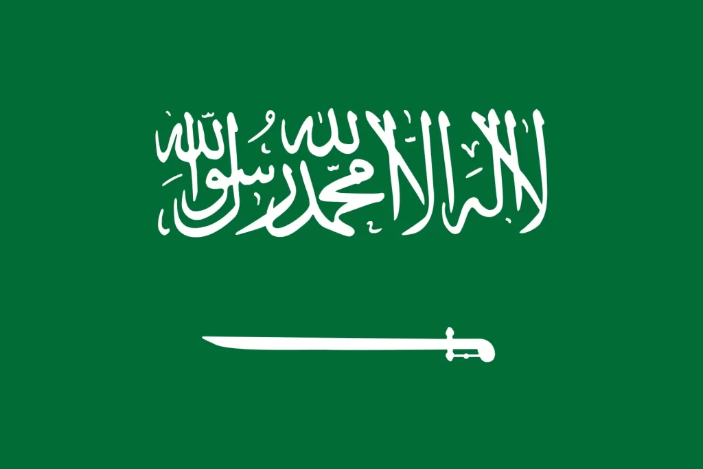 Travel Business Assistance | Saudi Arabia | Flag